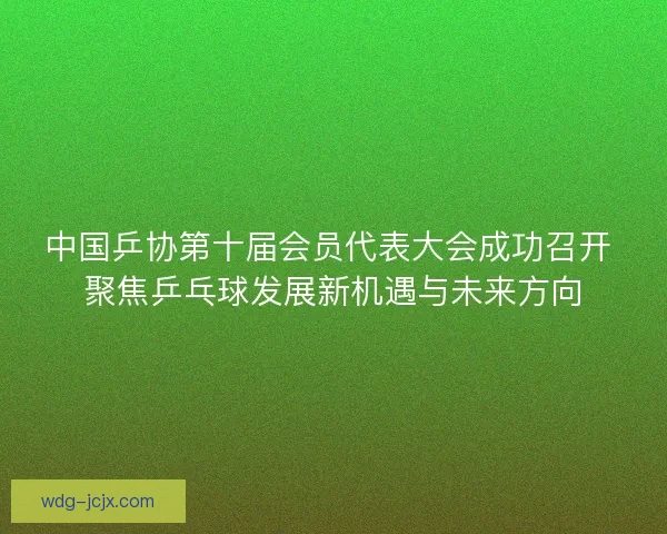 中国乒协第十届会员代表大会成功召开 聚焦乒乓球发展新机遇与未来方向