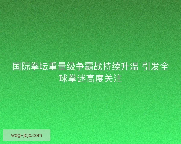 国际拳坛重量级争霸战持续升温 引发全球拳迷高度关注